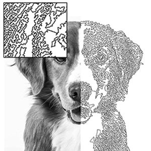 es-element-reefphotostitch